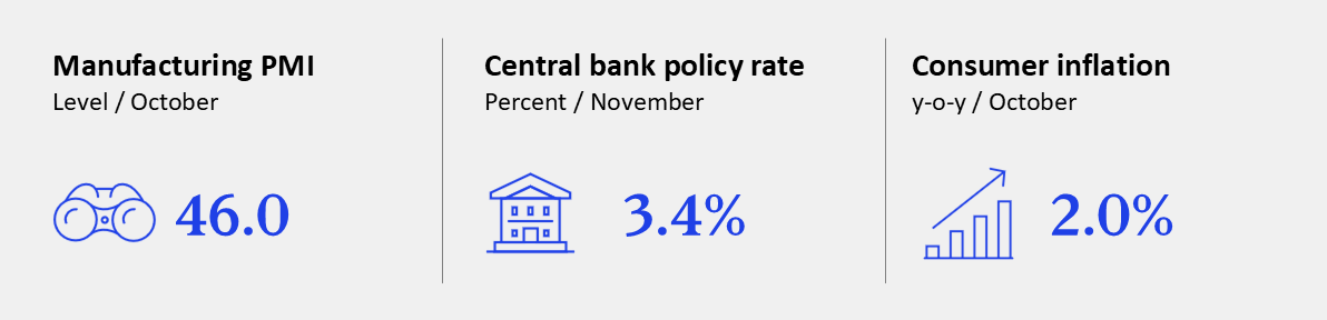 GEI - November 2024 - Eurozone