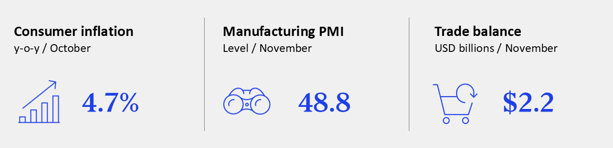 GEI - November 2025 - Brazil