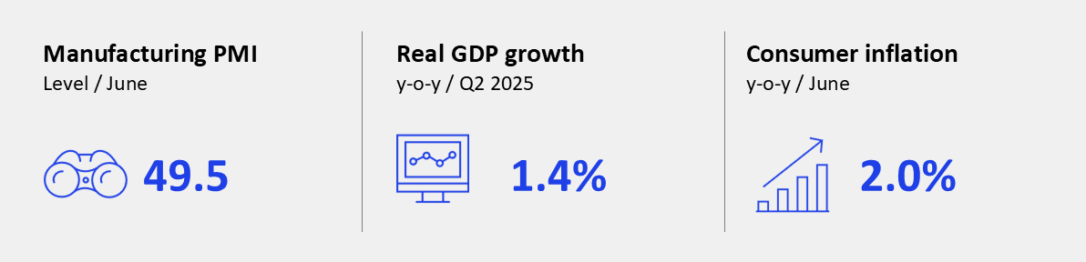 GEI - July 2025 - Eurozone