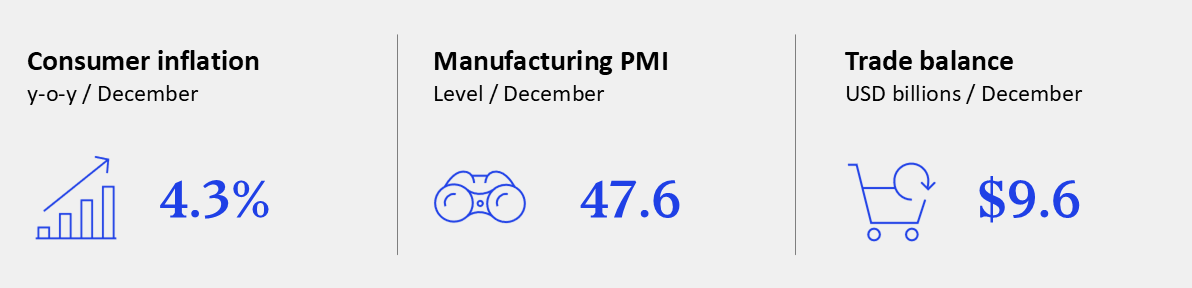 GEI - January 2026 - Brazil